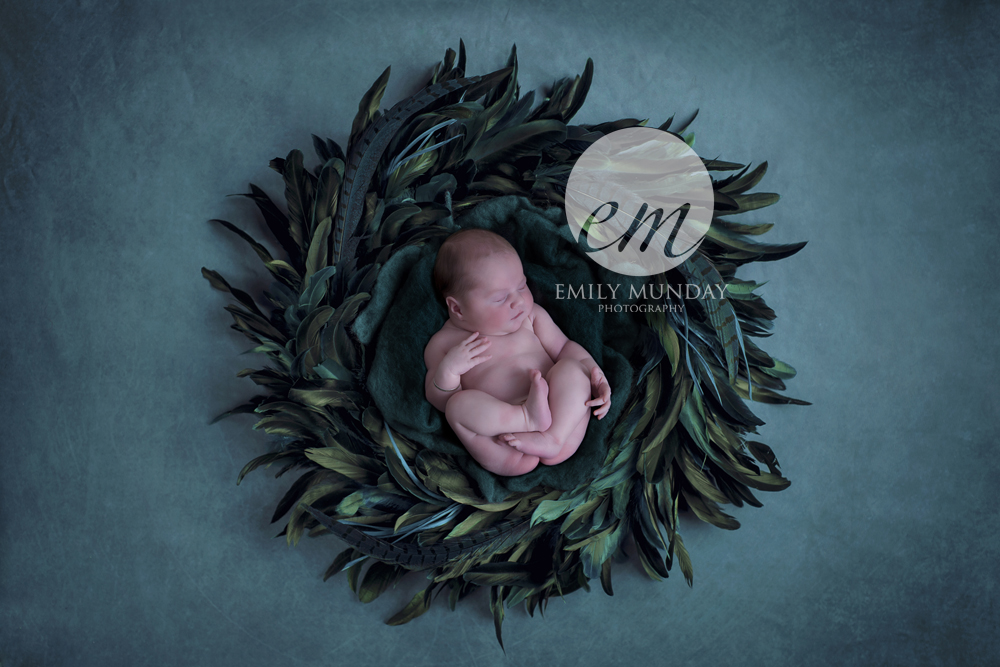 Newborn Photography Photographer Plymouth