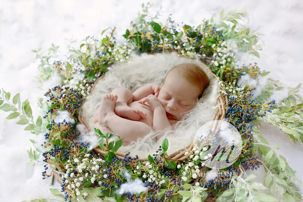 Newborn Photography Photographer Plymouth