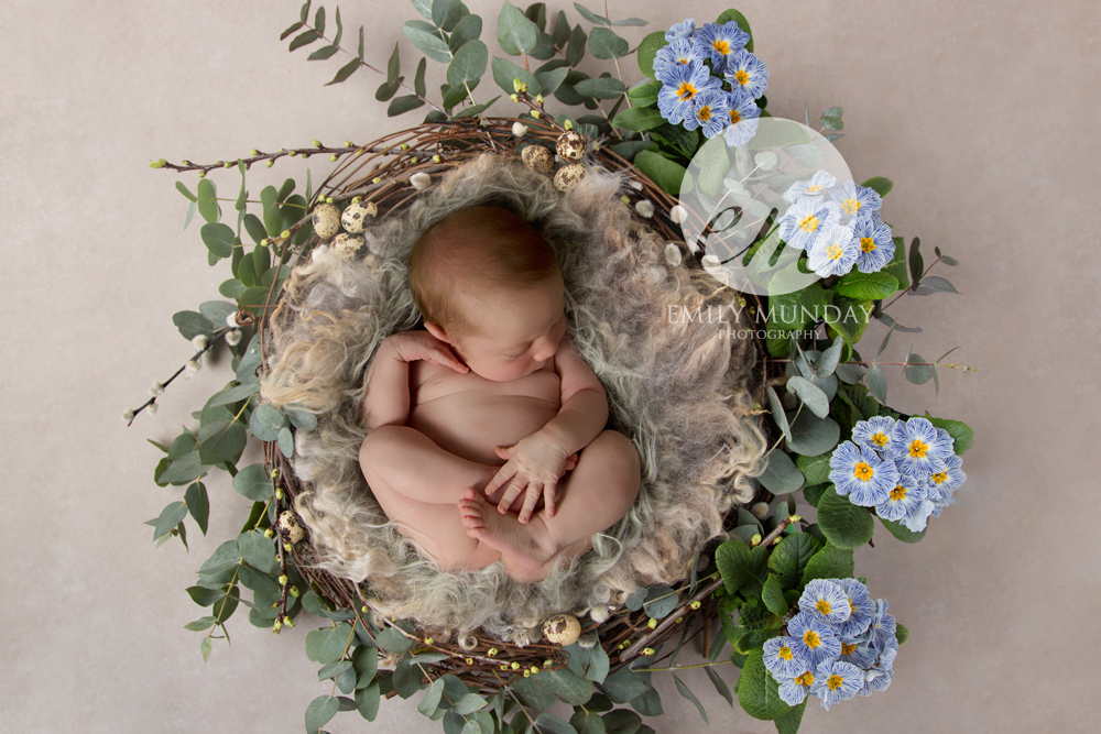 Newborn Photography Photographer Plymouth