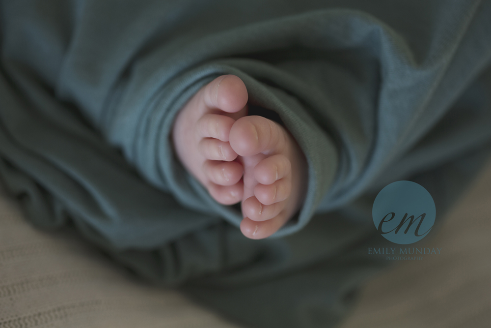 Newborn Photography Photographer Plymouth