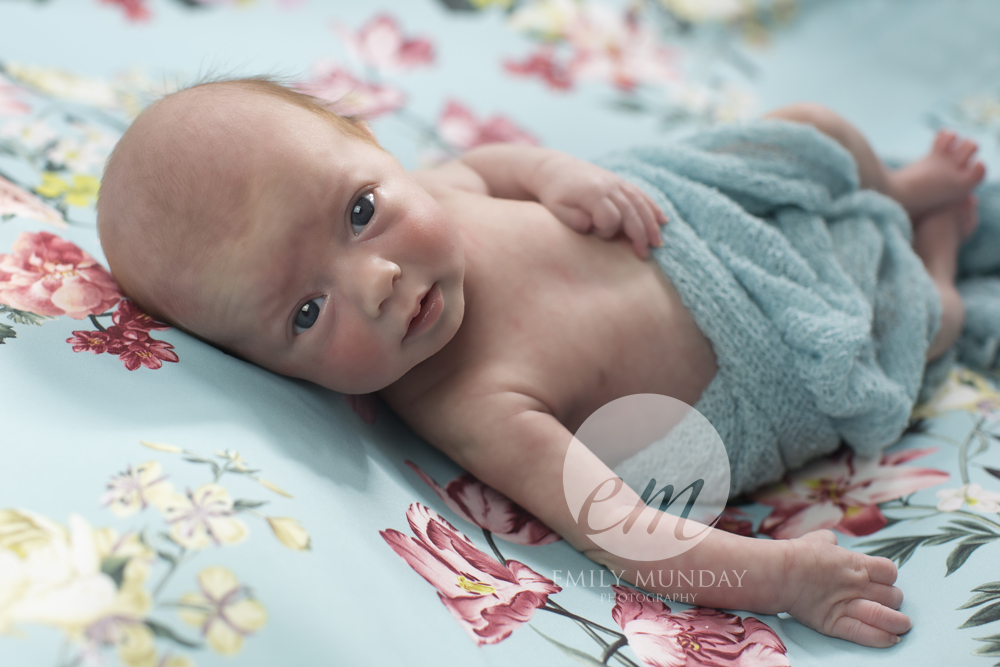 Newborn Photography Photographer Plymouth