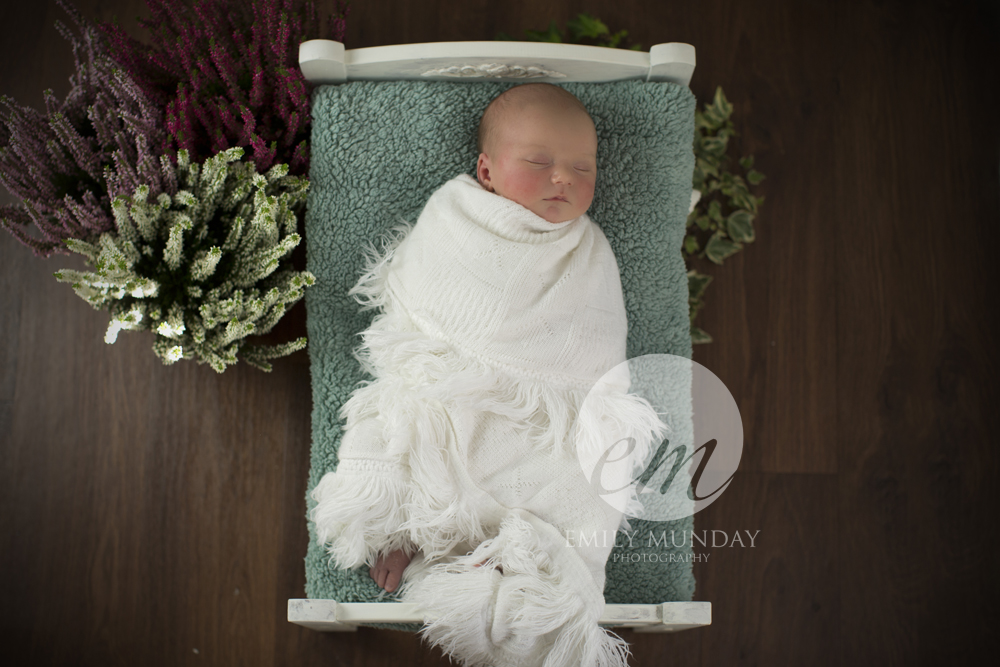 Newborn Photography Photographer Plymouth