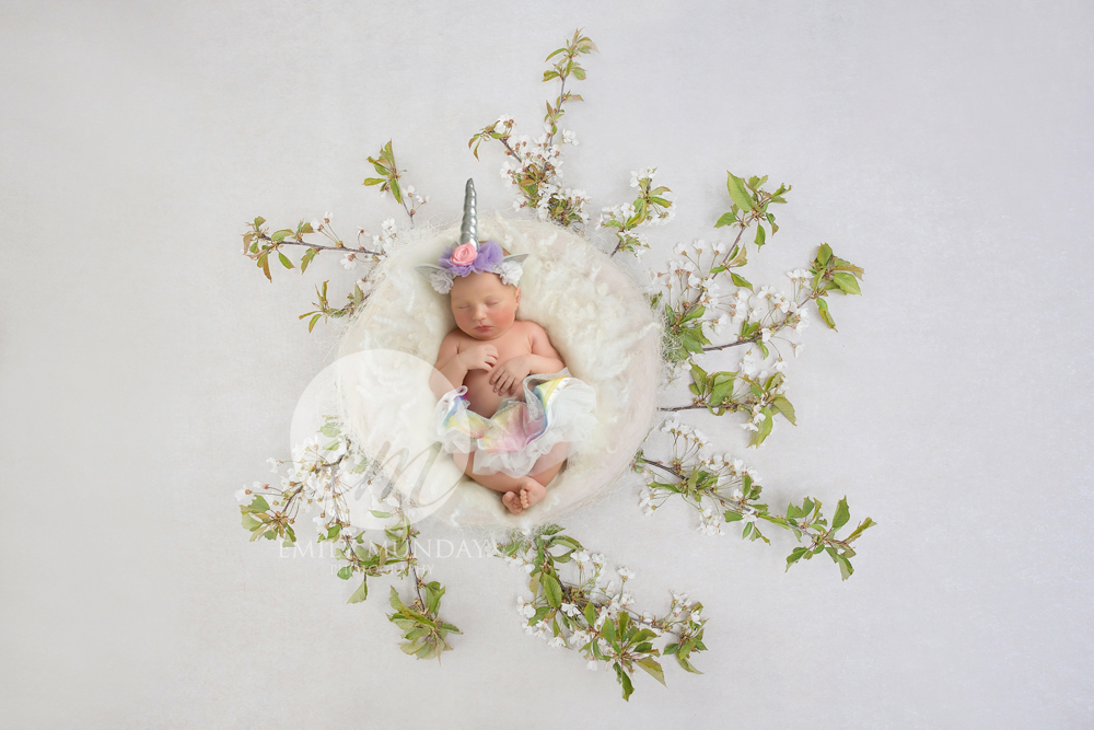 Newborn Photography Photographer Plymouth