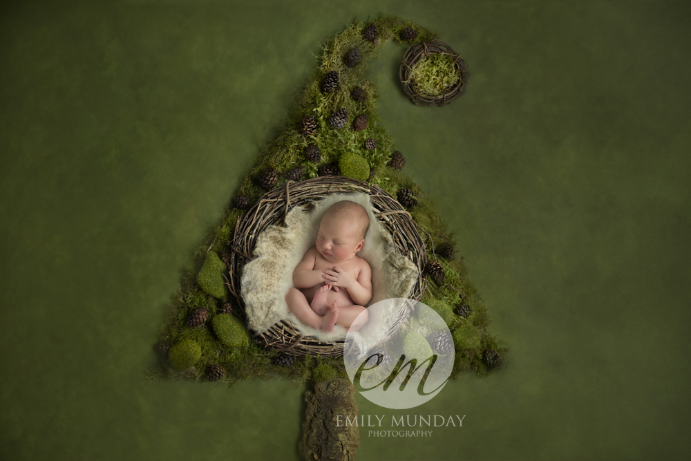 Newborn Photography Photographer Plymouth