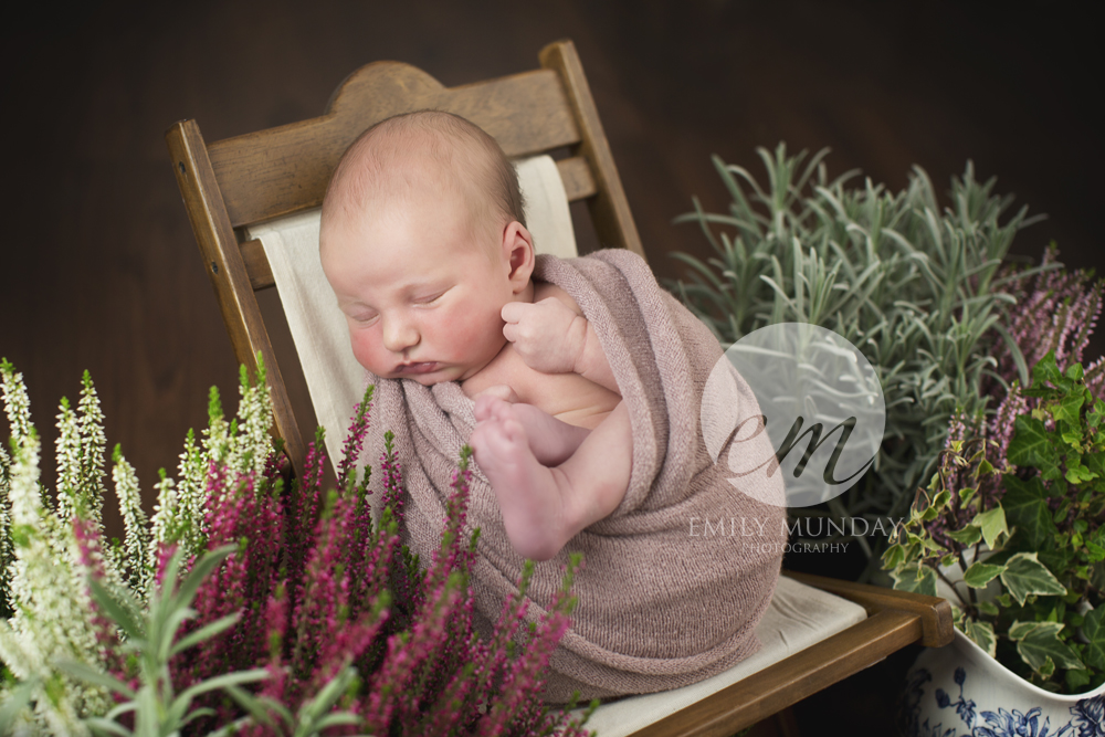 Newborn Photography Photographer Plymouth