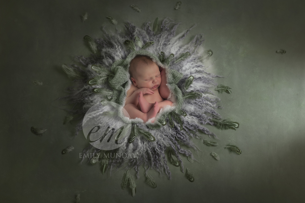 Newborn Photography Photographer Plymouth