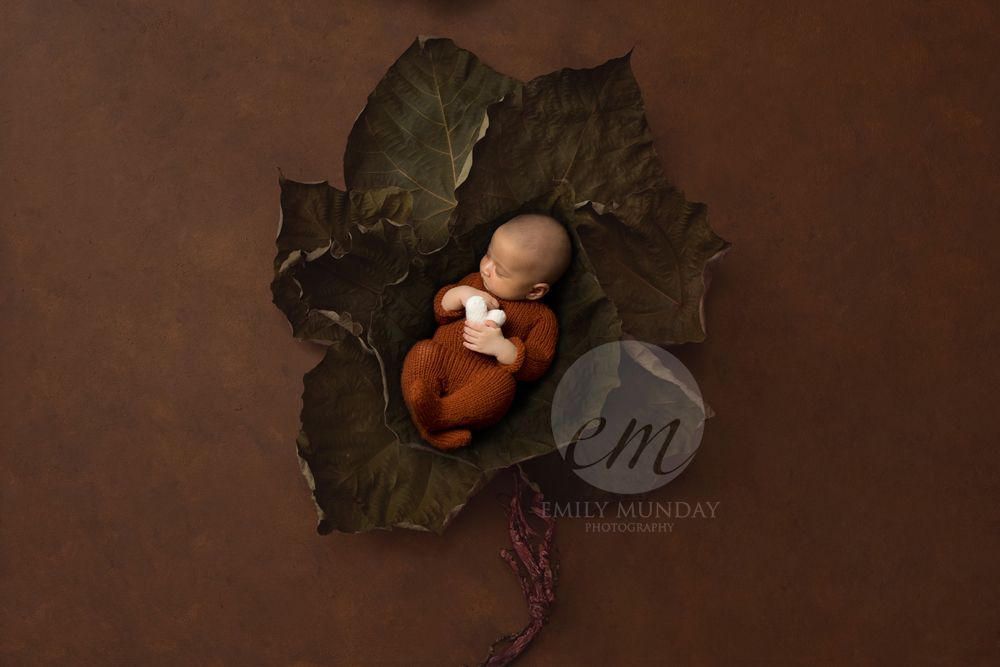 studio newborn photo shoot photography Plymouth Devon Emily Munday Monday 