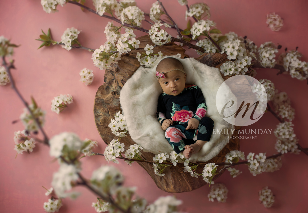 studio newborn photo shoot photography Plymouth Devon Emily Munday Monday 