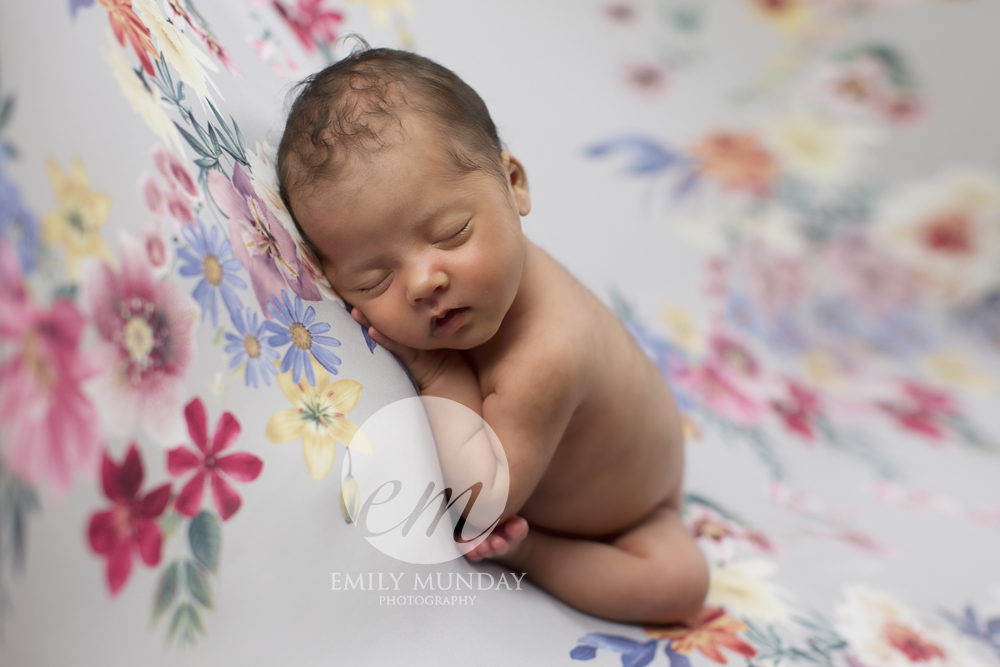 studio newborn photo shoot photography Plymouth Devon Emily Munday Monday 