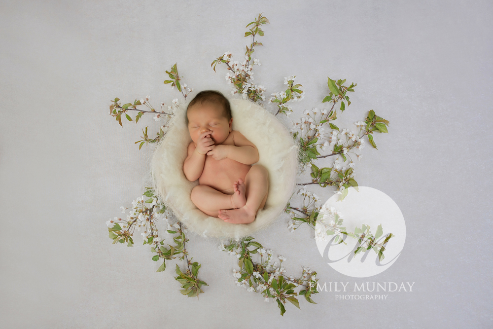 emily munday monday plymouth newborn photo photos photography photographer plymouth devon south west cornwall girl PL4 studio session home simple natural unique bespoke grey navy