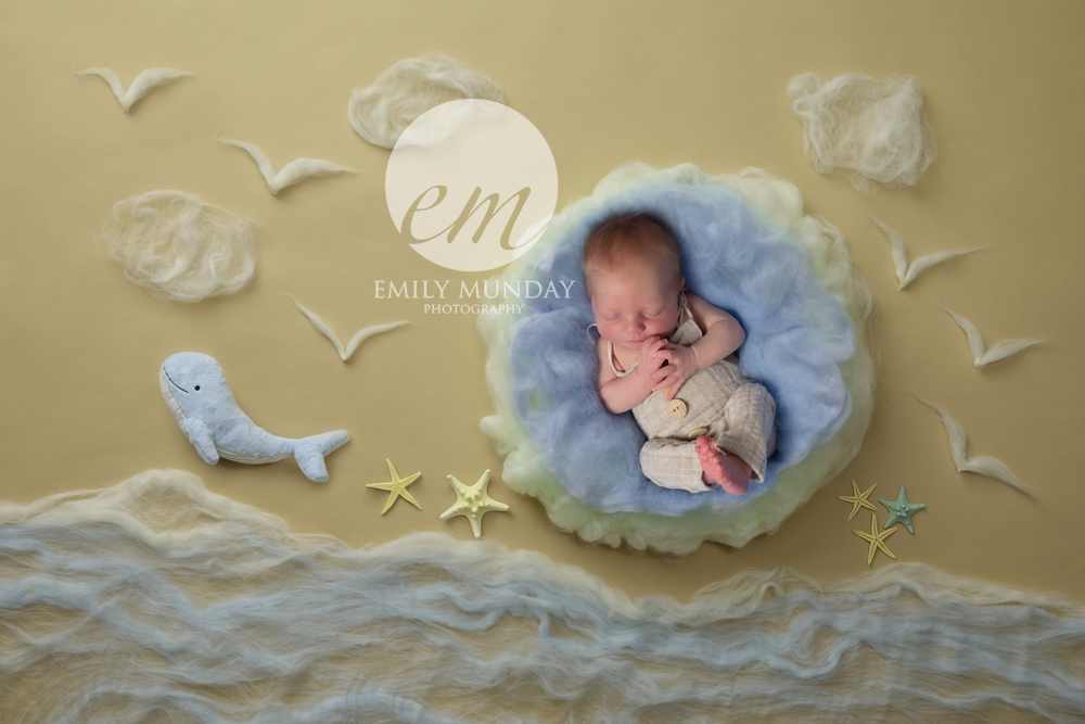 emily munday monday plymouth newborn photo photos photography photographer plymouth devon south west cornwall boy PL4 studio session home simple natural unique bespoke sibling grey Jonah whale Bible story