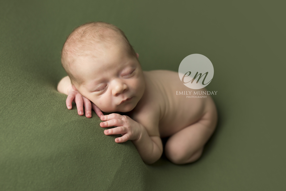 newborn photography photographer photos studio session fox woodland baby shoot emily munday monday photography boy sibling brother