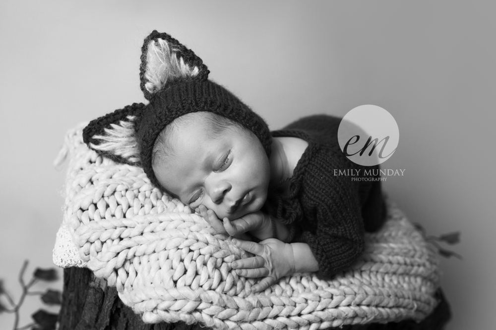 newborn photography photographer photos studio session fox woodland baby shoot emily munday monday photography boy sibling brother