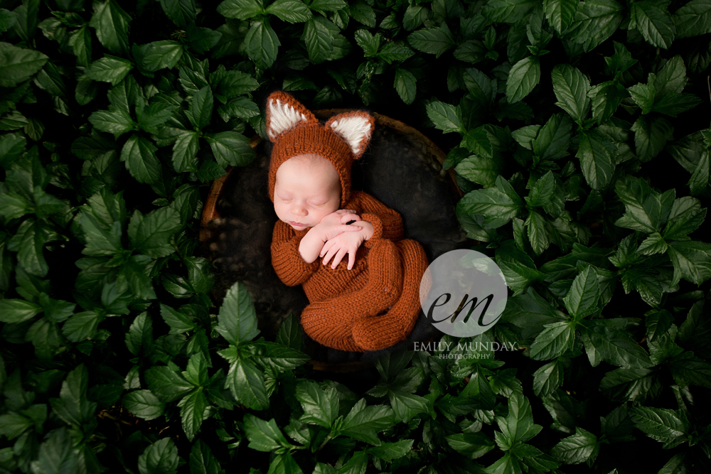 newborn photography photographer photos studio session fox woodland baby shoot emily munday monday photography boy sibling brother