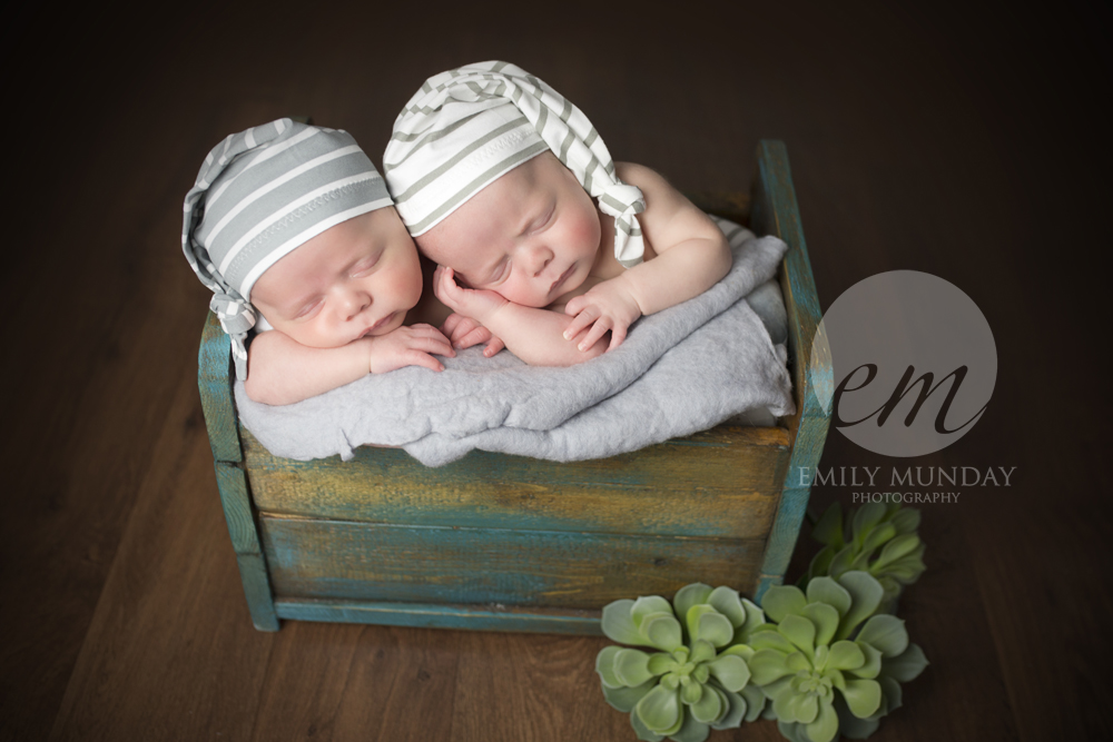 twins emily munday monday photos photography photographer plymouth devon cornwall newborn studio posed 