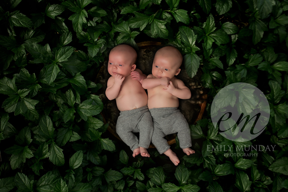 twins emily munday monday photos photography photographer plymouth devon cornwall newborn studio posed 