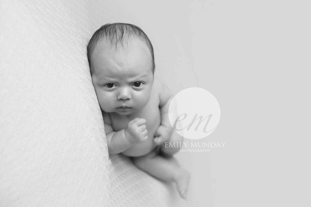 cream black and white newborn photos photoshoot plymouth devon baby emily munday monday photography photographer