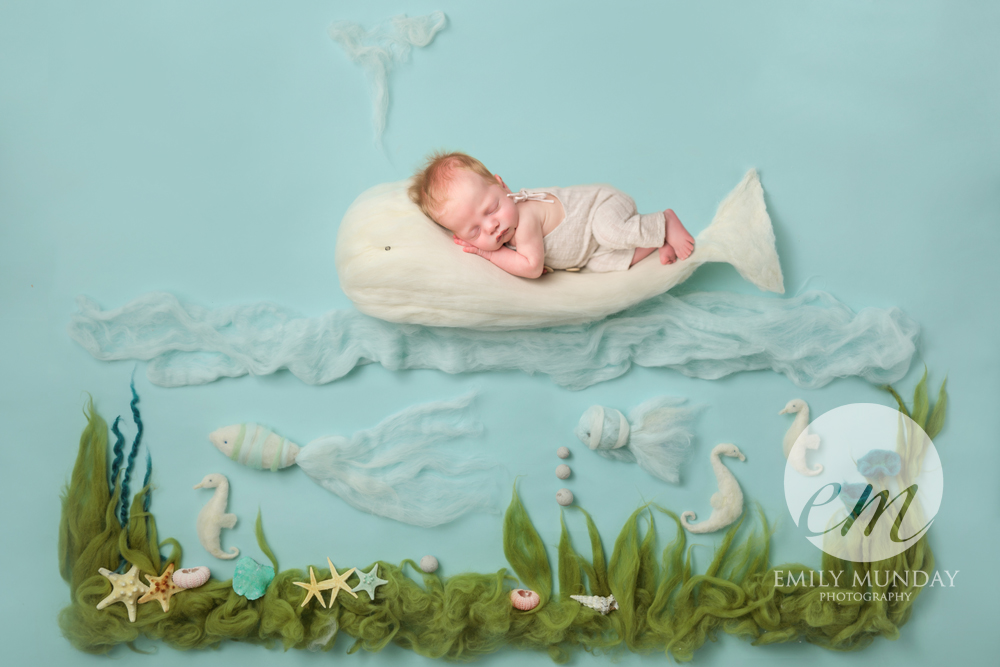 Jonah the whale fish blue boy seaweed baby newborn plymouth photographer sun shine keep safe family newborn photos emily munday photography