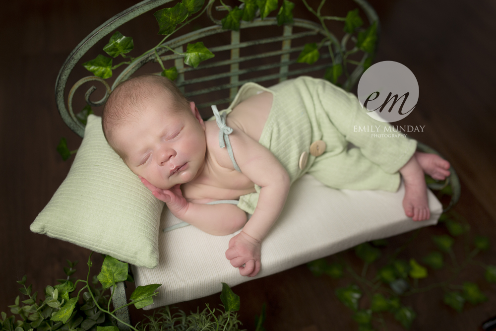 Rocco green gardener chair ivy baby newborn plymouth photographer sun shine keep safe family newborn photos emily munday photography