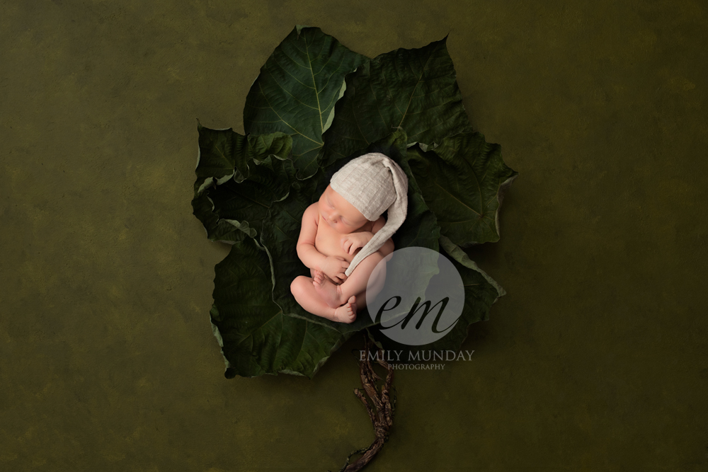 baby photographer photos photography newborn studio plymouth ocean city recycling plastic free month july summer baby devon leaf green