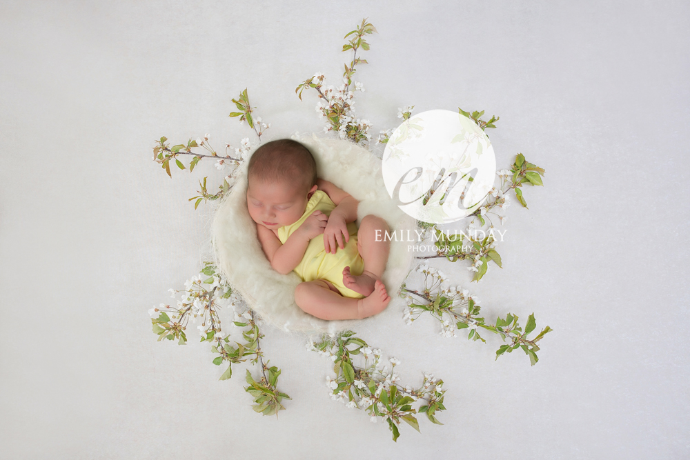 birth trauma baby plymouth photography newborn studio photographer emily munday monday photos 