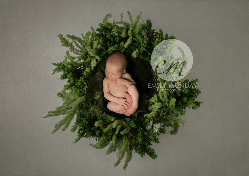 birth trauma baby plymouth photography newborn studio photographer emily munday monday photos 