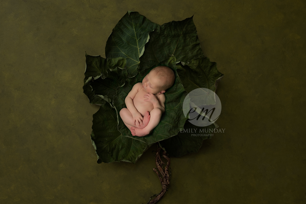 birth trauma baby plymouth photography newborn studio photographer emily munday monday photos 