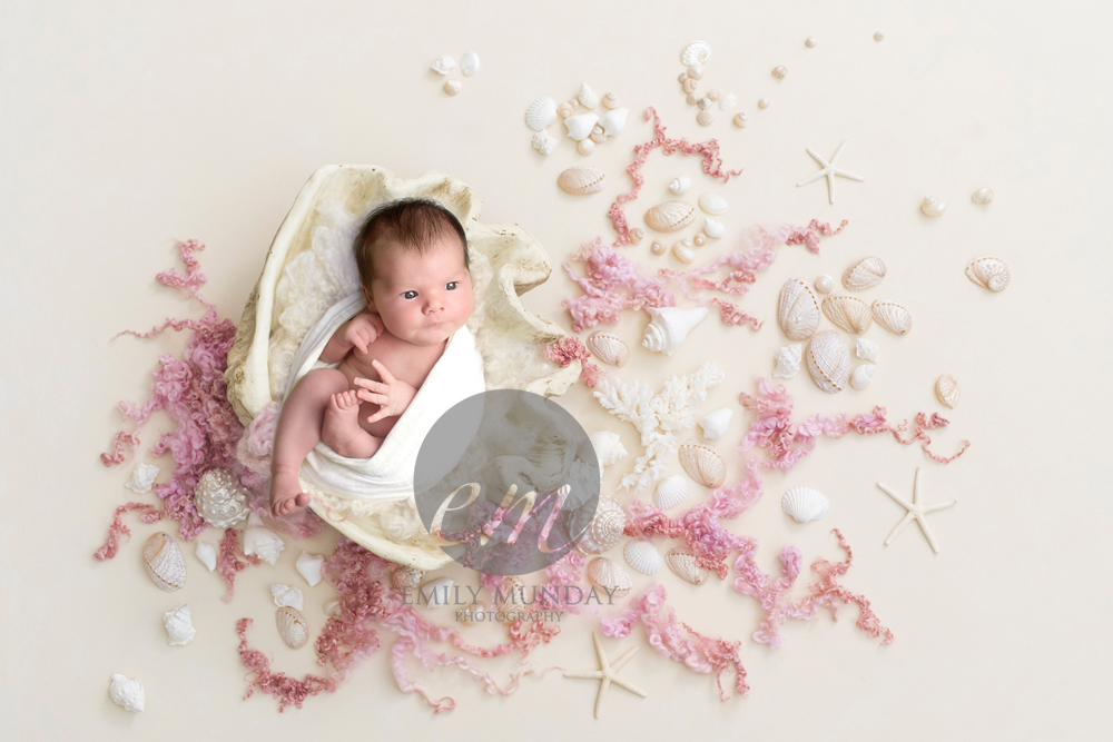 plymouth baby pearl newborn devon cornwall studio photos photographer photography emily monday munday PL4 Lipson Greenbank Freedom field park white pink cream gem shell seaside town