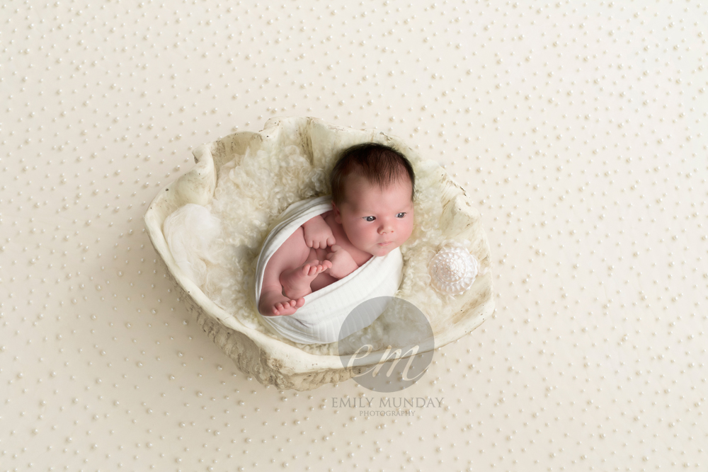 plymouth baby pearl newborn devon cornwall studio photos photographer photography emily monday munday PL4 Lipson Greenbank Freedom field park white gem shell seaside town