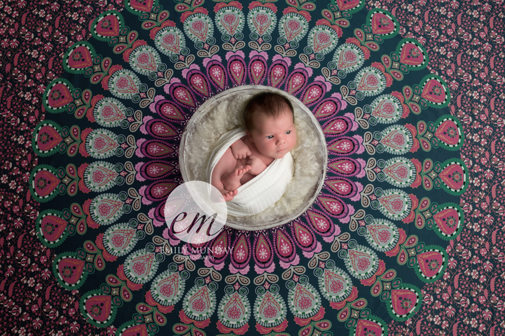 plymouth first time parents devon cornwall circle symmetry emily munday monday Lipson PL4 newborn photos baby studio photography photographer pink fluff white wrap cosy